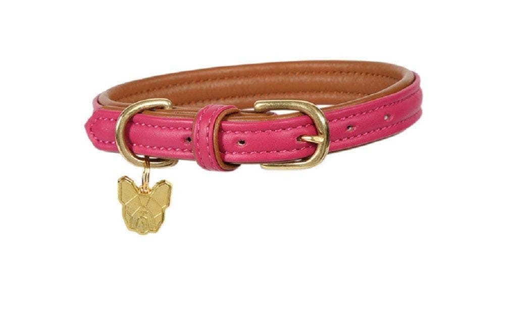 Protective Padded Dog Collar – Custom Width, Thickness & Quick-Release