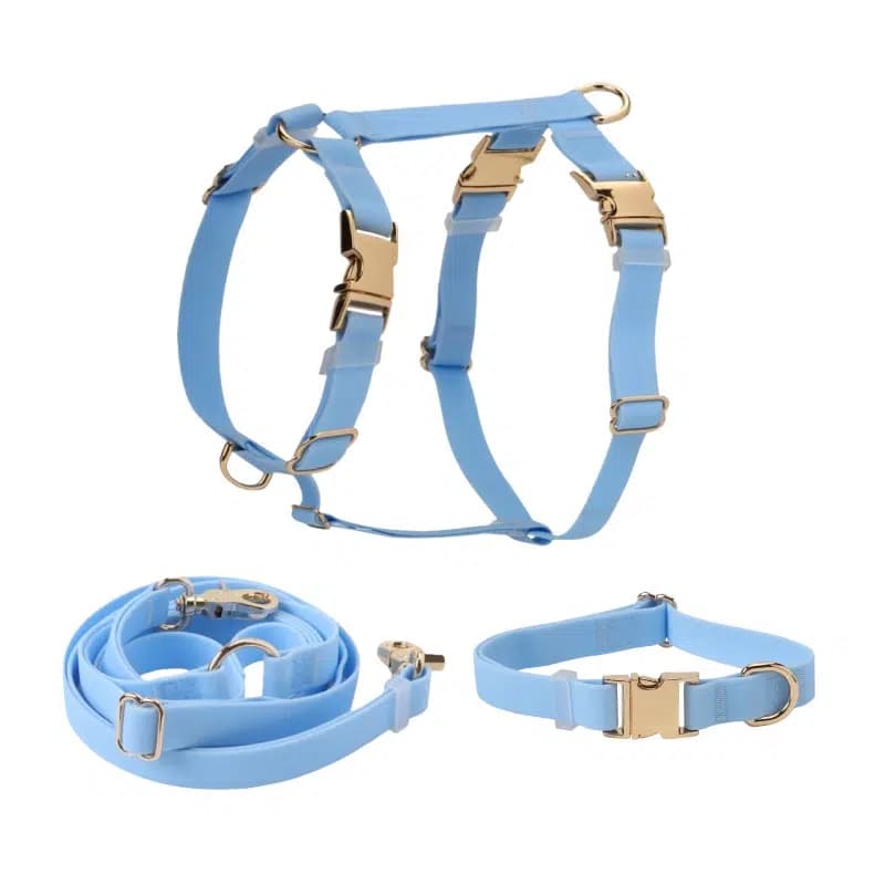Build a Signature Luxury Pet Collection with Fluffivo’s Custom Collar, Harness & Leash Sets