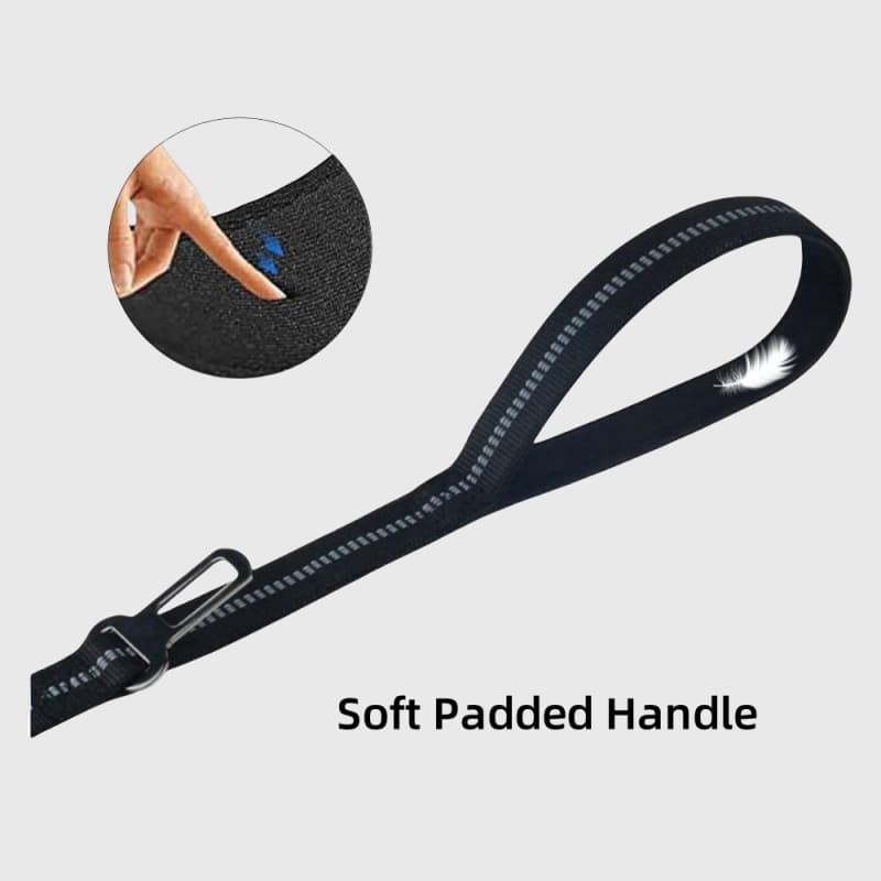 Heavy Duty Dual Handle Training Lead | Explosion-Proof Elastic Dog Leash with Locking Carabiner