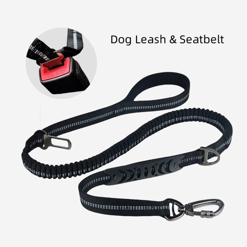 2-in-1 Dog Leash & Car Seat Belt | OEM Customizable Safety Solution from 50 PCS